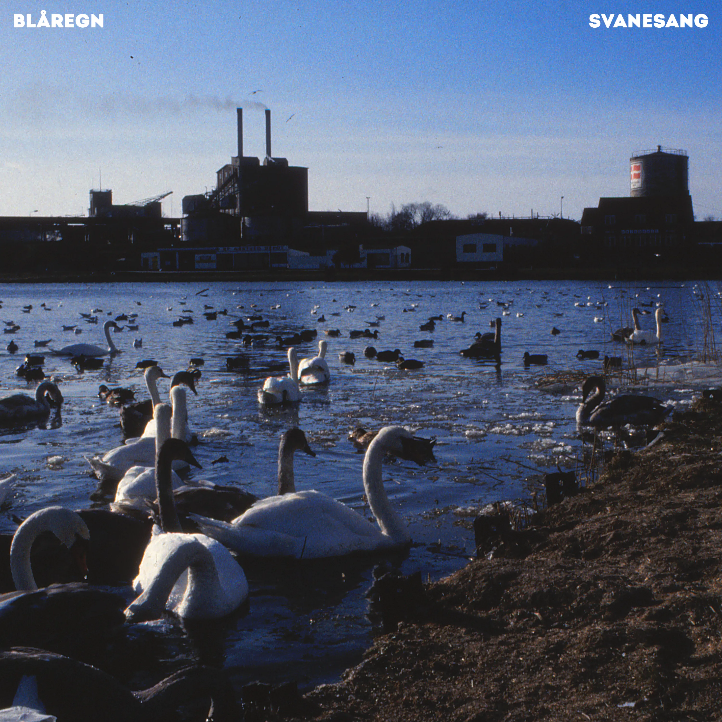 Svanesang single, coverbillede